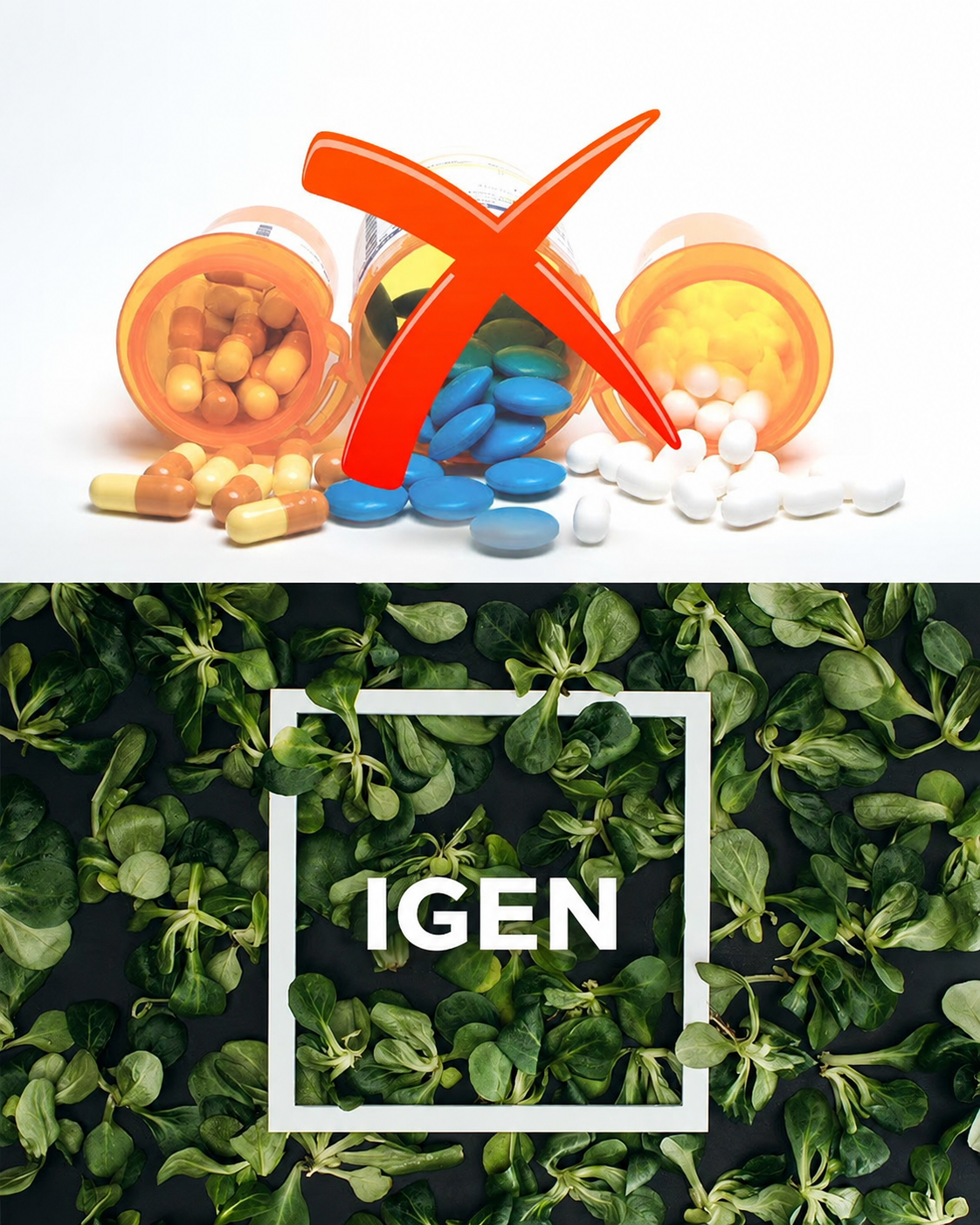 KÉP 04 – Gyógyszerek vs. természetes megoldás grafika