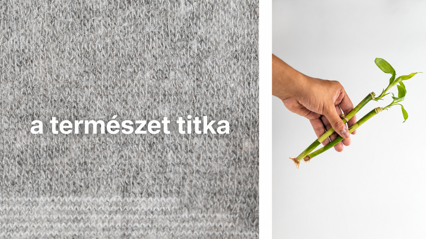 KÉP 06 – Szürke bambusz anyag + bambusz szárak